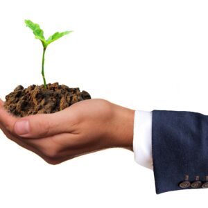 Growth