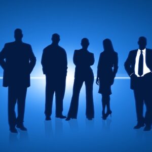 MANAGEMENT TEAM